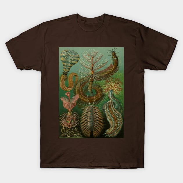 Annelids Chaetopoda by Ernst Haeckel T-Shirt by MasterpieceCafe